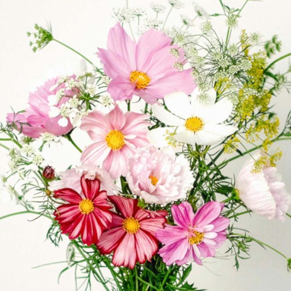 Geschenkkarton Wildblumen Bouquet – Cosmos