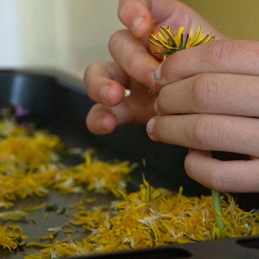 Blüten für nachhaltige Seifen