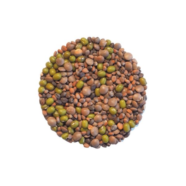 Bio-Sprossenmix Salat von Keimgrün
