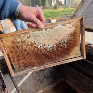 Produktion der Bienenwachskerzen beim Imker