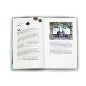 In 80 Bäumen um die Welt vom Laurence King Verlag