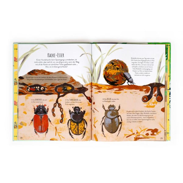 Insekten retten die Welt vom Laurence King Verlag