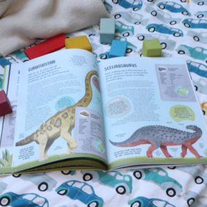 Bastelbuch Zeitreise Dinosaurier vom Laurence King Verlag