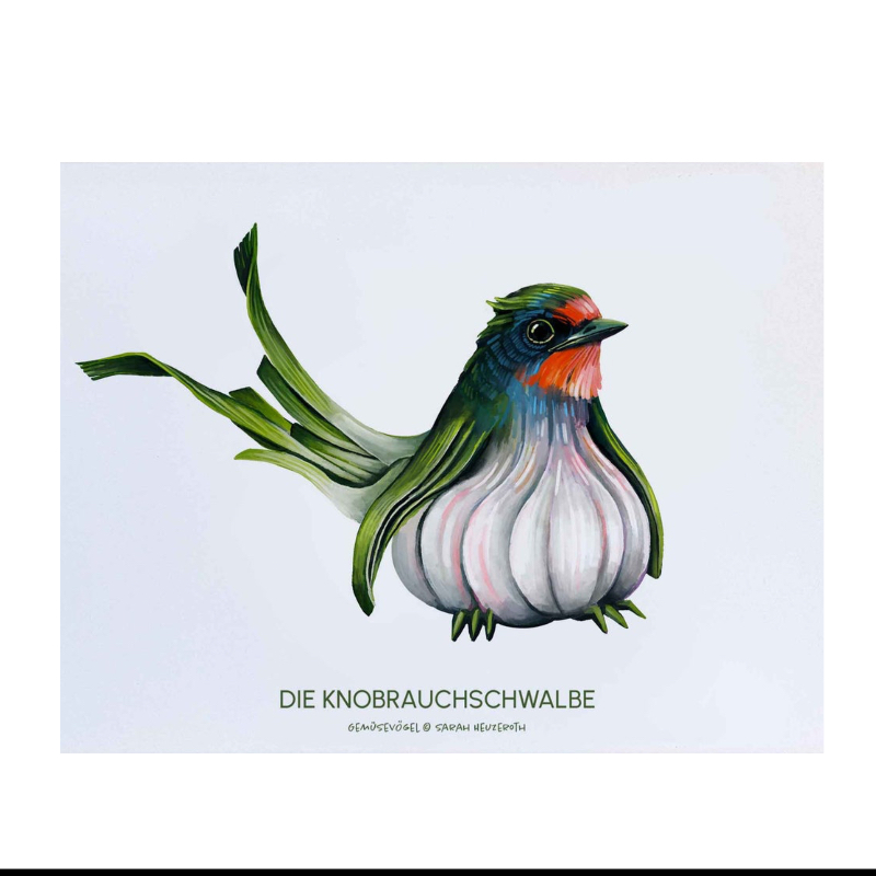 Poster Knobrauchschwalbe - DIN A3 1 Poster DIN A3 Die Knobrauchschwalbe – fantasievoller Gemüsevogel aus Rauchschwalbe und Knoblauch, gedruckt auf Recyclingpapier.